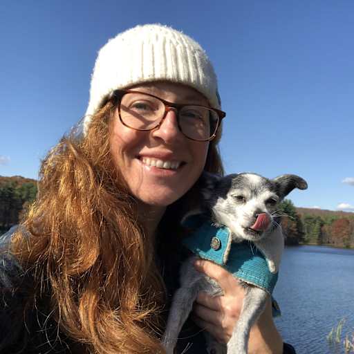 Profile image for pet sitter Bronwen