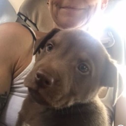 Profile image for pet sitter Teresa