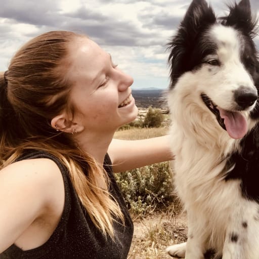 Profile image for pet sitter Megan
