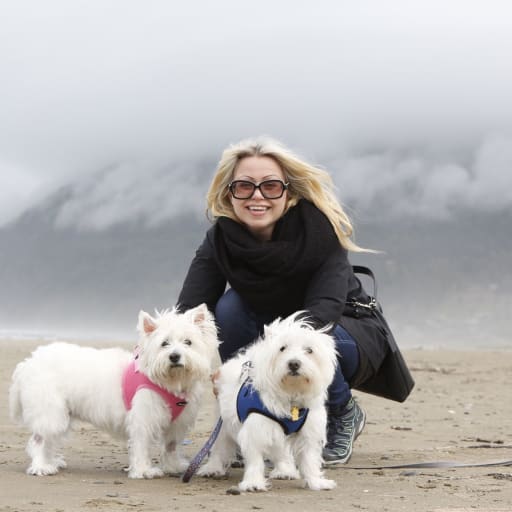 Profile image for pet sitter Liz