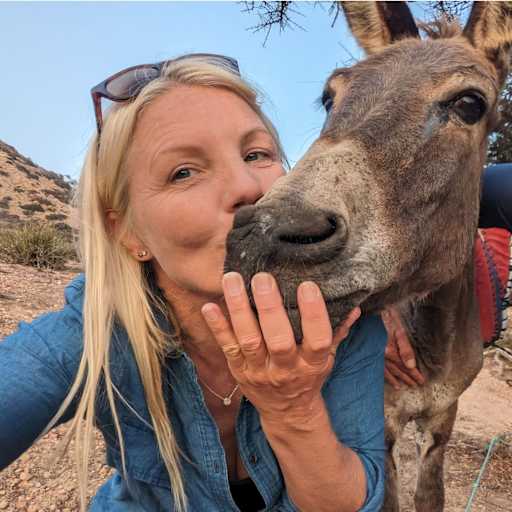 Profile image for pet sitter Lee