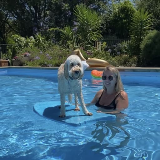 Profile image for pet sitters Sarah & Bridget 