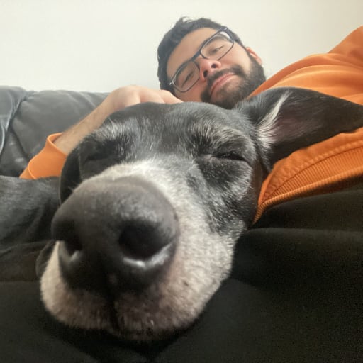 Profile image for pet sitter Fermín