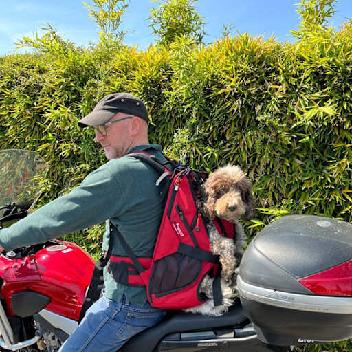 Profile image for pet sitters Giuseppe & Elena