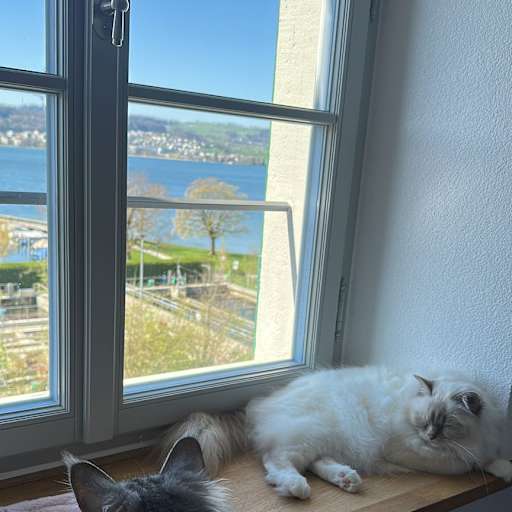 Profile image for pet sitter Marija