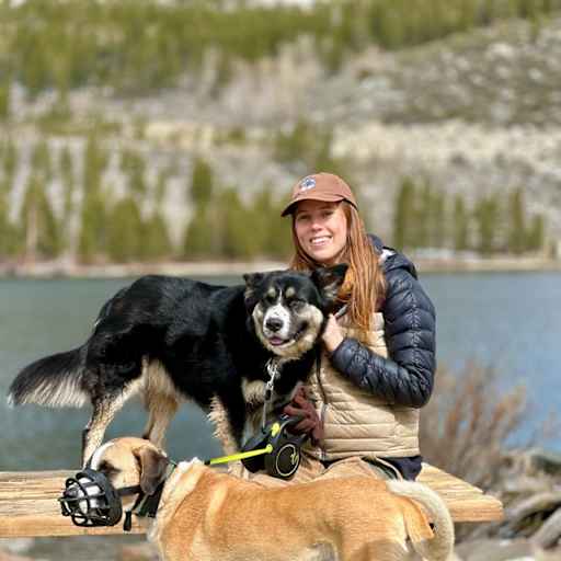 Profile image for pet sitter Sarah