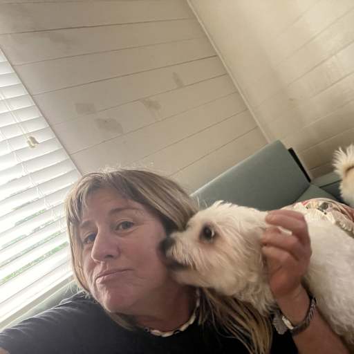 Profile image for pet sitter Allison