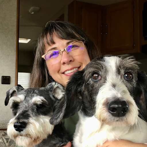 Profile image for pet sitter Tracy