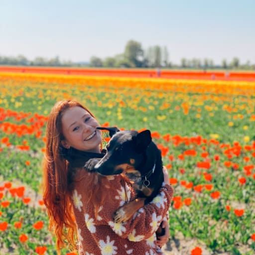 Profile image for pet sitter Selina