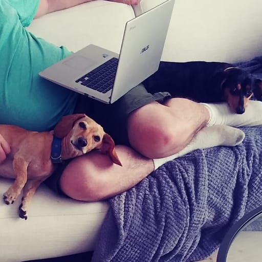 Profile image for pet sitters Kelly & Blaine