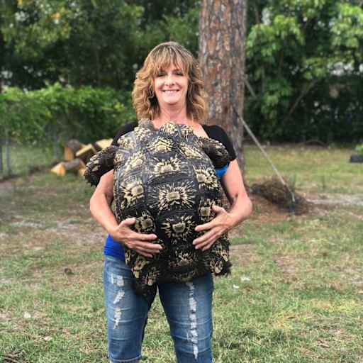 Profile image for pet sitter denise