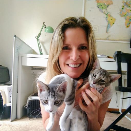 Profile image for pet sitter Tracy