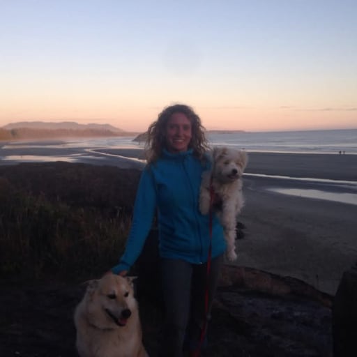 Profile image for pet sitter Shari