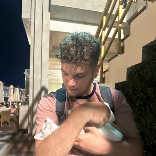 Profile image for pet sitter Simon