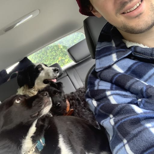 Profile image for pet sitter Josh