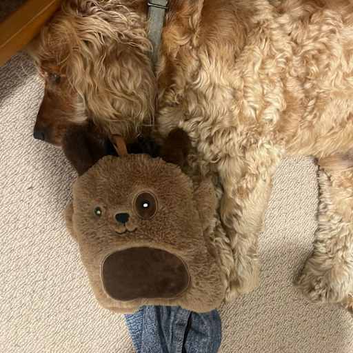Profile image for pet sitter Louna