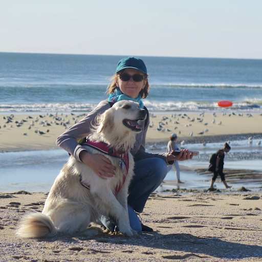 Profile image for pet sitter Mirta