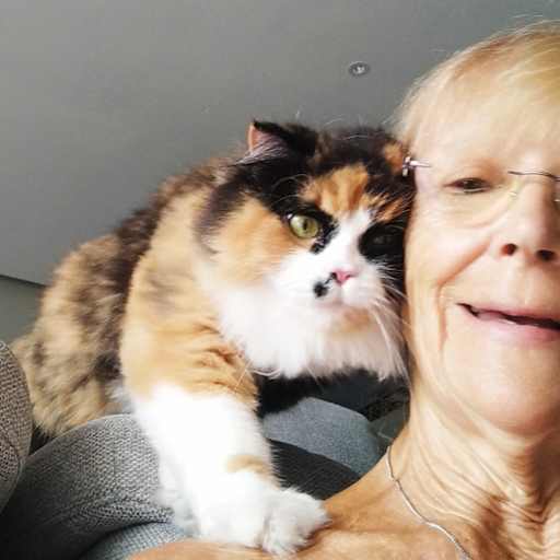 Profile image for pet sitter Trish