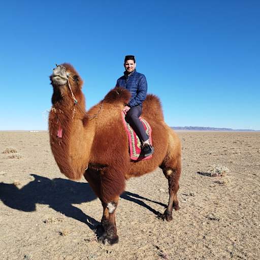 Profile image for pet sitter zachary