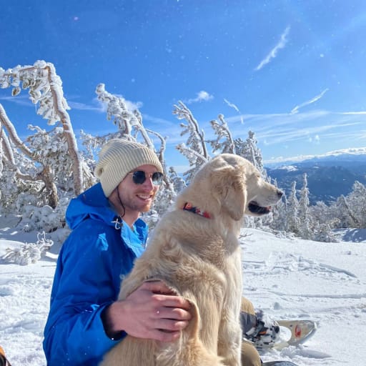 Profile image for pet sitter Ryan