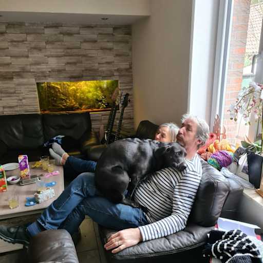 Profile image for pet sitters Ralf & Renate
