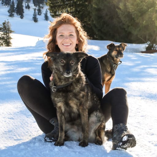 Profile image for pet sitter Christina