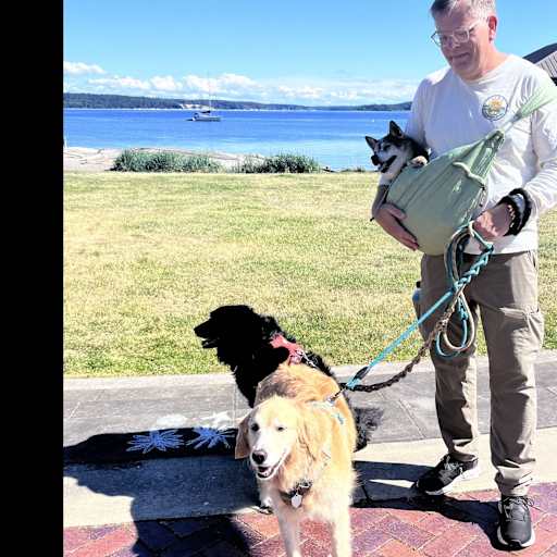 Profile image for pet sitter Mark