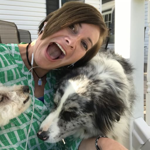 Profile image for pet sitter Keri