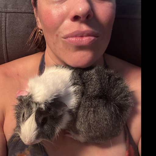 Profile image for pet sitter Diana