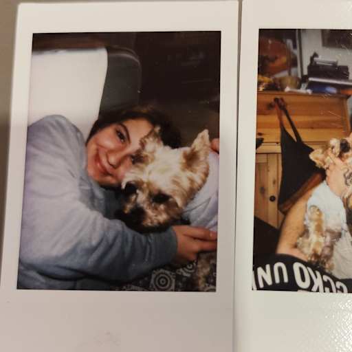 Profile image for pet sitters Carolina & Tiago