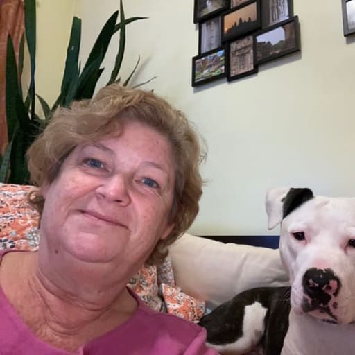 Profile image for pet sitter Susan