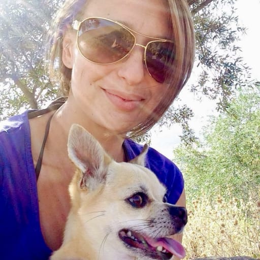 Profile image for pet sitter Diane Faith