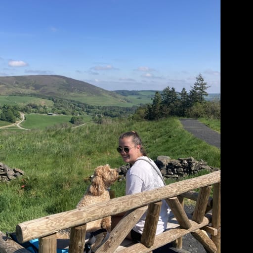 Profile image for pet sitter Izzy