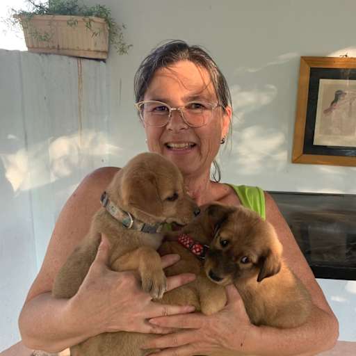 Profile image for pet sitter Stephanie