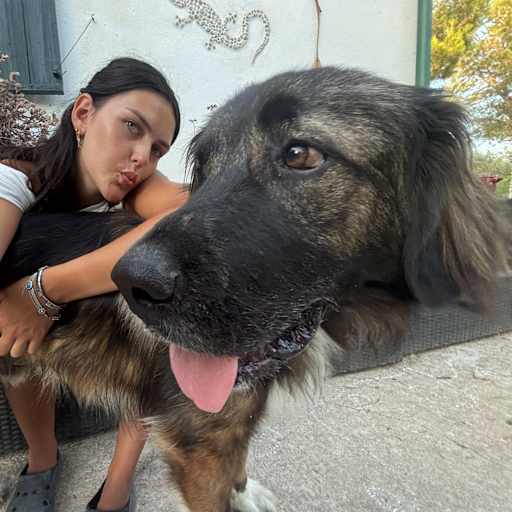 Profile image for pet sitters Natalie & Viktoria