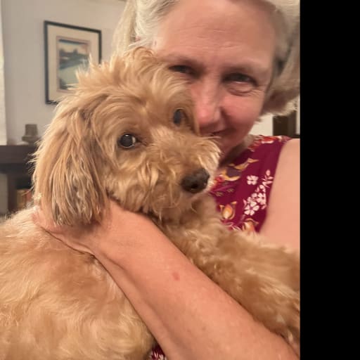 Profile image for pet sitters Elizabeth & Conrad