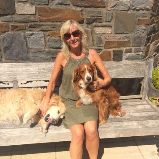 Profile image for pet sitter Karen davies