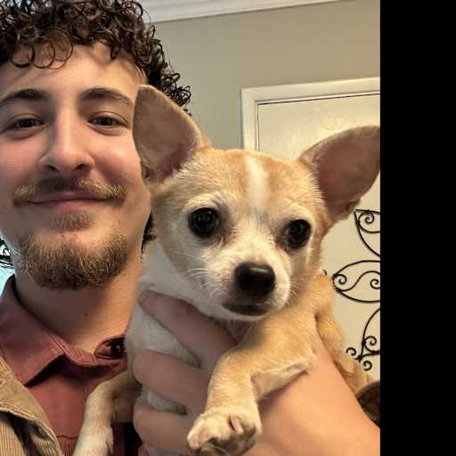 Profile image for pet sitter Trevor