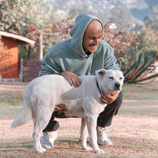 Profile image for pet sitter hendrik