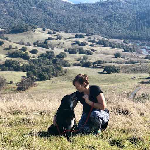 Profile image for pet sitter Carrie
