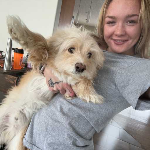 Profile image for pet sitter morgan