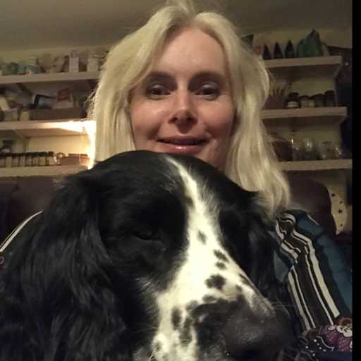 Profile image for pet sitter Kit