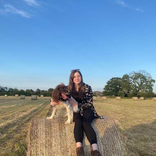 Profile image for pet sitter Bethany