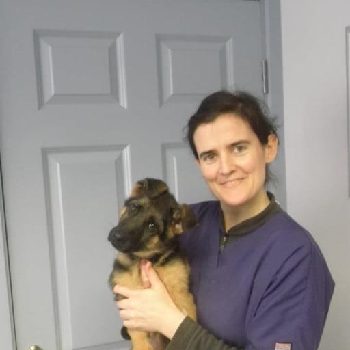 Profile image for pet sitter Maire