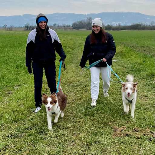 Profile image for pet sitters Aileen & Lara
