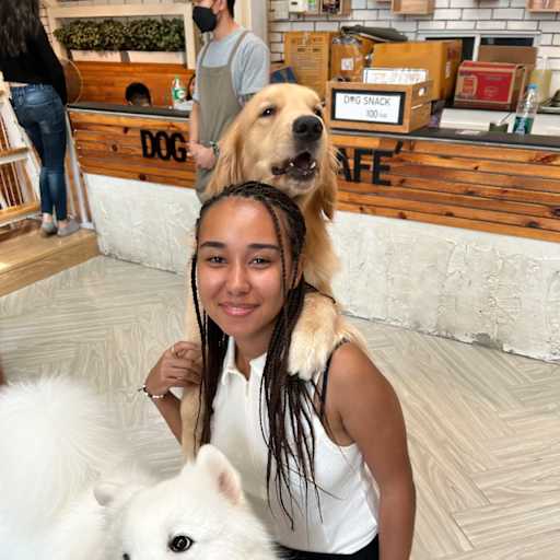 Profile image for pet sitters Vanessa & Braulio