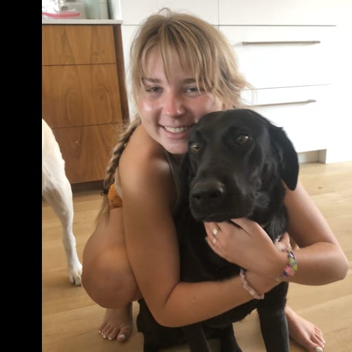 Profile image for pet sitter Dylan