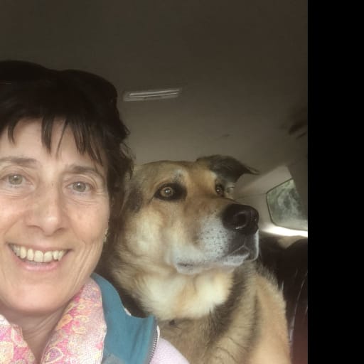 Profile image for pet sitter Catherine