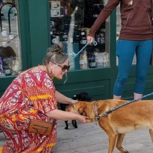 Profile image for pet sitter Heather