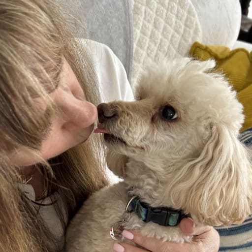 Profile image for pet sitter teri